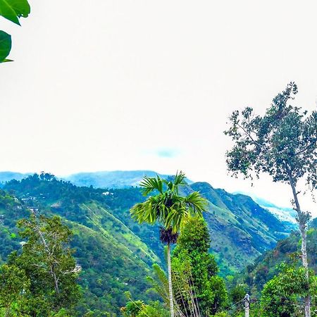 Ella Nimal Nest Inn Luaran gambar
