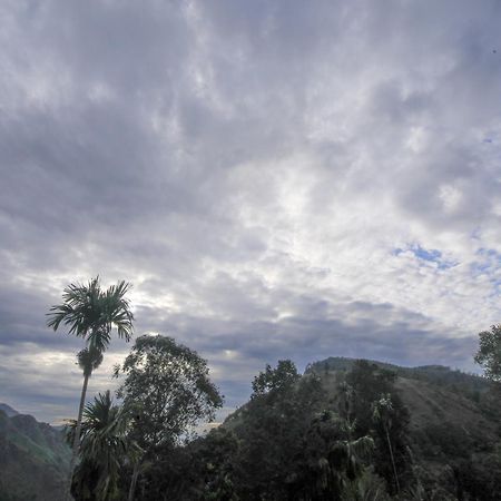 Ella Nimal Nest Inn Luaran gambar