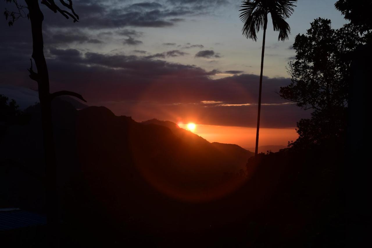 Ella Nimal Nest Inn Luaran gambar