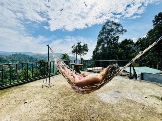 Ella Nimal Nest Inn Luaran gambar
