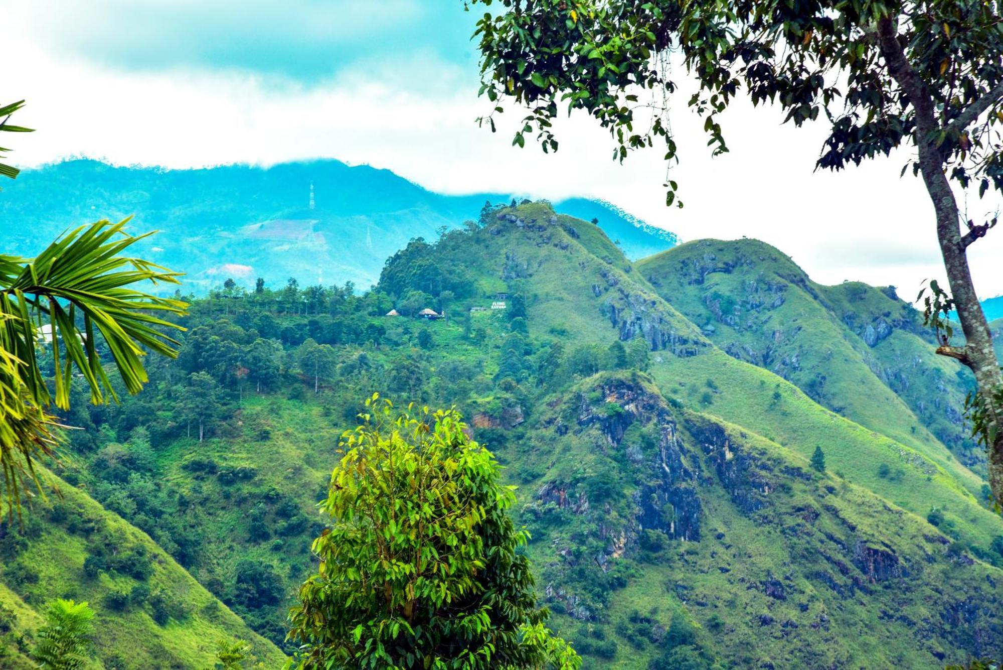 Ella Nimal Nest Inn Luaran gambar