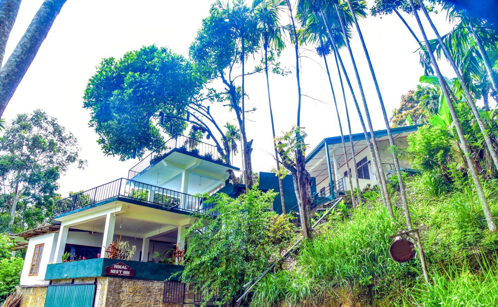 Ella Nimal Nest Inn Luaran gambar